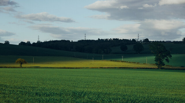 sun setting over green field and sky
