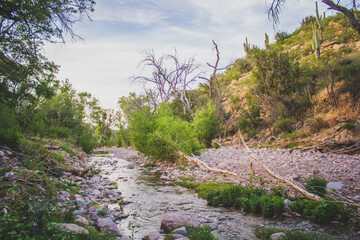 small desert creek