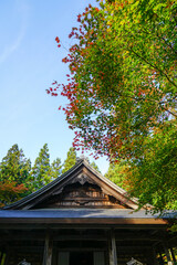 Fototapeta premium 京都大原来迎院の秋景色