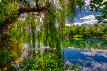 lake in forest