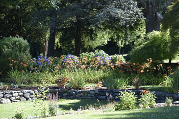 Back yard garden