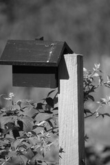 Birdhouse on post