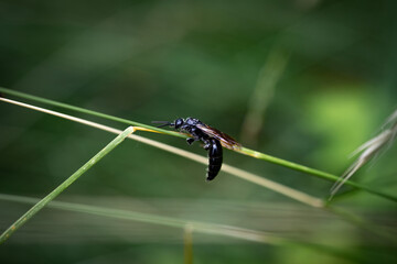 Hangin' on