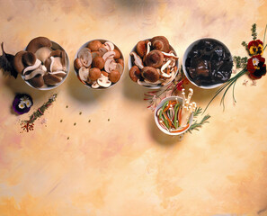 Mushrooms in five bowls on a yellow canvas background