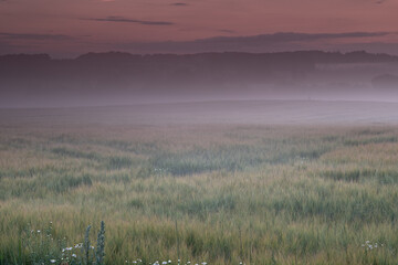 Landscape view of fog over a field with mountains in the background with copy space. Mist covering a vast expanse of green countryside meadow. Early Autumn morning in a remote nature environment