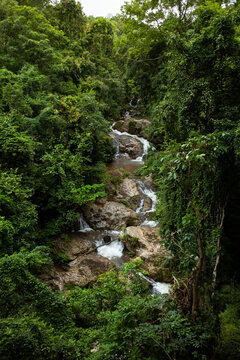 water stream view, with morning light. rain forest waterfall with tree flame.