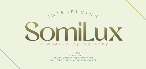 Elegant alphabet letters font and number. Classic Modern Serif Lettering Minimal Fashion. Typography  decoration fonts for branding, wedding, invitations, logo. vector illustration