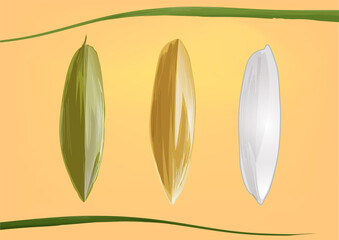 grain, seed, pill, droplet, drop, rice