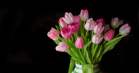 Copy space of tulip flowers in a vase against a black background. Closeup of beautiful flowering plants with pink petals and green leaves blooming and blossoming. A gift bouquet for Valentines Day