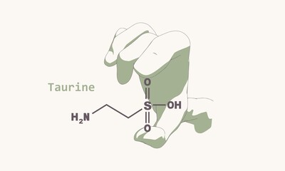 Hand holding chemical molecular formula of taurine.