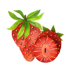 Ripe summer strawberry watercolor illustration. Red juicy berry, cut in half. Hand drawn wild or garden fruit isolated on white background. Clipart of fresh food for cards, posters, menu design