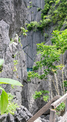 Pristine water at Barracuda Lake, Coron, Palawan. Surrounded by limestone cliffs, a popular tourist attraction and diving spot in the Phillipines.