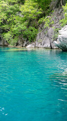 Pristine water at Barracuda Lake, Coron, Palawan. Surrounded by limestone cliffs, a popular tourist attraction and diving spot in the Phillipines.
