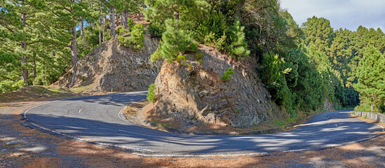 A curvy road up a mountain with green plants on a sunny summer day. A beautiful lush landscape of a tarred roadway near nature or foilage for a peaceful and scenic travel view