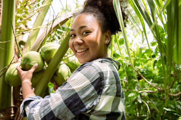 Charming farmer woman check quality of coconut in farm and showing natural fruit hanging on palm tree. Happy African girl on tropical vacation holidays.