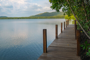 Fototapeta premium Wooden bridge in mangrove forest and lake at oversea, this place for relaxation