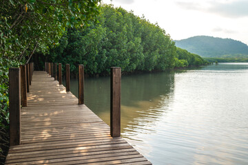 Wooden bridge in mangrove forest and lake at oversea, this place for relaxation