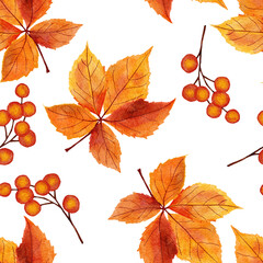 Watercolor hand drawn seamless pattern with red orange yellow fall autumn leaves, maple oak vine leaf. October september thanksgiving background with forest wood berries.