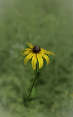 2022-07-13 GS Boardwalk