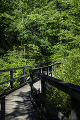 2022-07-13 GS Boardwalk