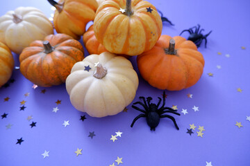 Halloween concept decorative design elements. Colorful pumpkins and black stars and Spiders composition on purple background for Autumnal event and festival.