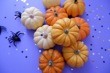 Halloween concept decorative design elements. Colorful pumpkins and black stars and Spiders composition on purple background for Autumnal event and festival.