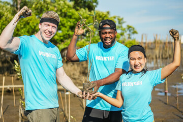 Group of happy volunteers with tree seedlings, Volunteer helpers planting trees in mangrove forest...