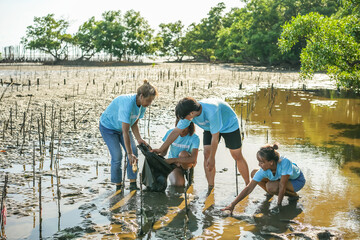 Group of happy volunteers with tree seedlings, Volunteer helpers planting trees in mangrove forest...