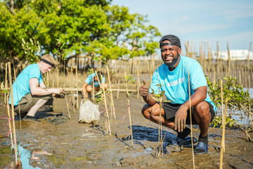 African American men volunteer helpers planting trees in mangrove forest for environmental...