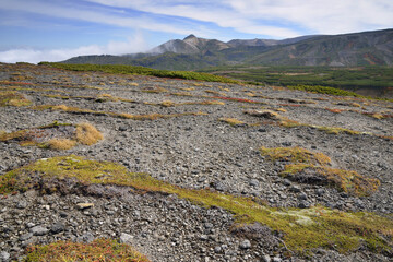 雲ノ平の構造土（北海道・大雪山）
