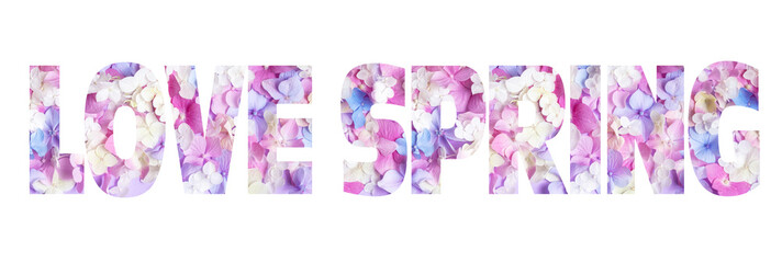 Flower letters LOVE SPRING from hydrangea flowers on a white background isolated. Banner