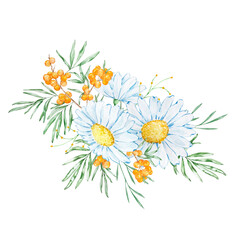 Bouquet of watercolor chamomile and sea buckthorn branches