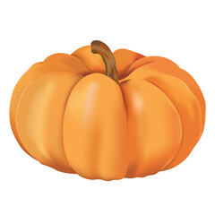 3D Pumpkin on white background