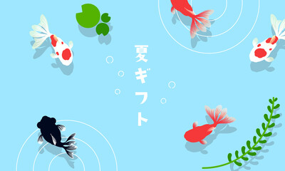 Fototapeta na wymiar 夏の水面を泳ぐ様々な金魚のサマーギフトテンプレート背景　Summer gift template background for various goldfish swimming on the surface of the water in summer