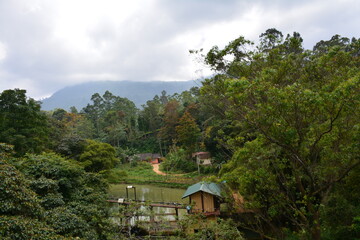 Sri Lanka travelling