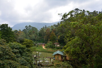 Sri Lanka travelling