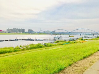 江戸川　河川敷