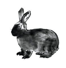水墨画技法で描いた黒兎