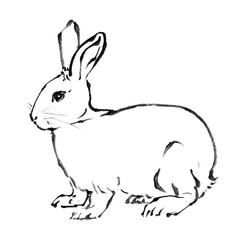 Obraz premium 水墨画技法で描いたうさぎ（線のみ）