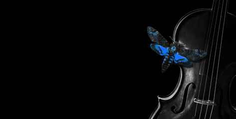 music concept. bright blue Death's-head Hawkmoth butterfly on a violin on a black background....