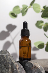 Cosmetic bottle serum, oil on stone stand with branch eucalyptus on grey background. Natural cosmetics concept, skin care product. Beauty concept for face body care