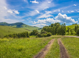 Summer foothill landscape. Green meadow and blue sky with clouds. Altai.