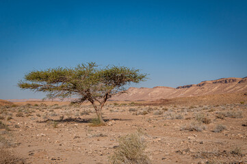 Désert du Neguev vu depuis Mitzpé Ramon