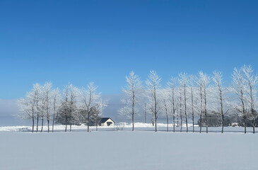 The blue sky and house in winter