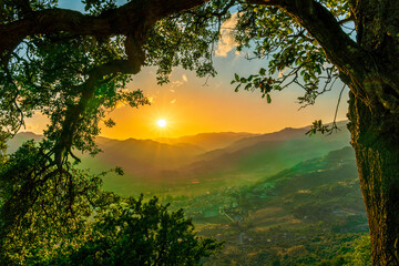 Fototapeta premium wonderful spring sunset in mountains with amazing view from highland among greeen tree branches to a valley with town, mountains and beautiful sunset on background