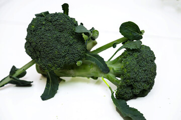 Broccoli isolated on white background