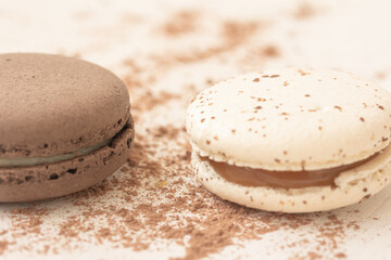 Macro of White and chocolate creamy macarons powdered with cocoa powder on white background