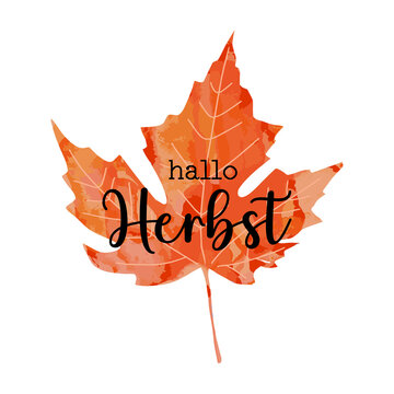Beautiful calligraphy lettering text - Hallo Herbst - German translation - Hello Autumn Fall. Bright orange red watercolor artistic maple leaf vector illustration isolated on white background