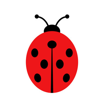 Ladybug icon. Colorful ladybird beetle or lady beetle. Vector Illustration