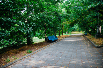 Obraz premium There is a blue wooden bench in the city park. An empty bench among the trees. Rest and walk in the forest.